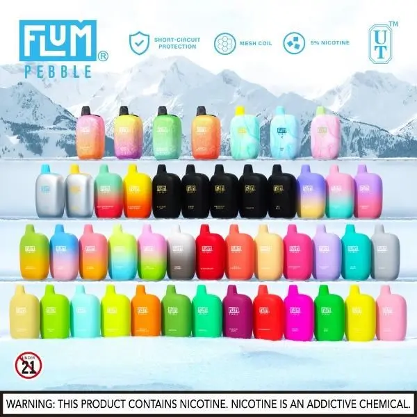 Flum Pebble 6000 Puffs Rechargeable Disposable 10Pack 133