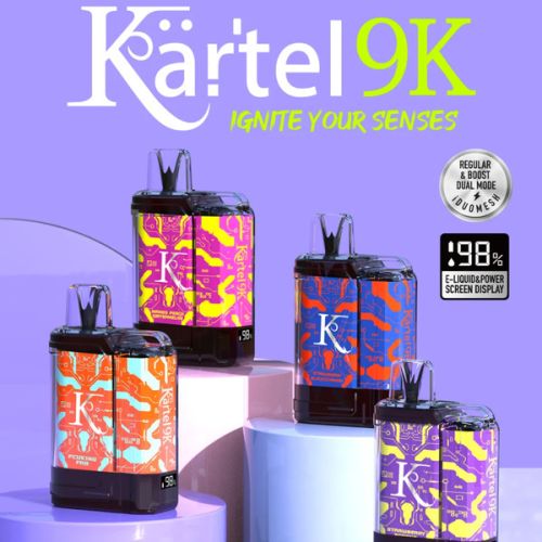 Best Flavors Kartel 9k by Vapmod 9000 Puffs 18mL Disposable - Vape Wholesale USA