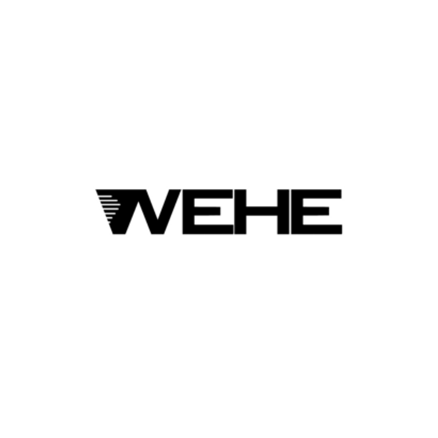 Wehe G25 Coils-5-Pack - 0.6ohm